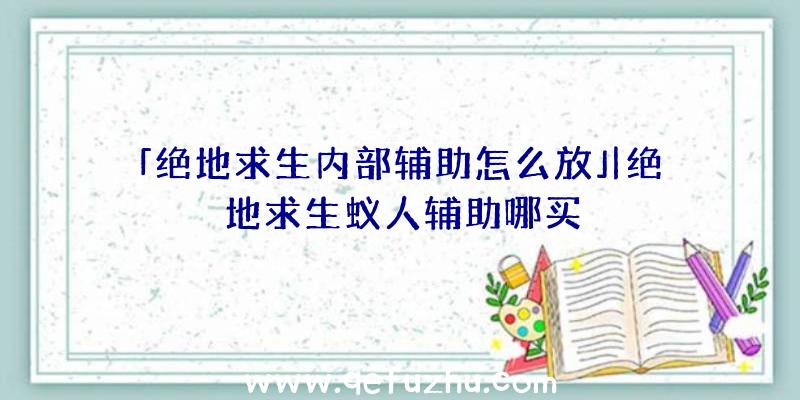 「绝地求生内部辅助怎么放」|绝地求生蚁人辅助哪买